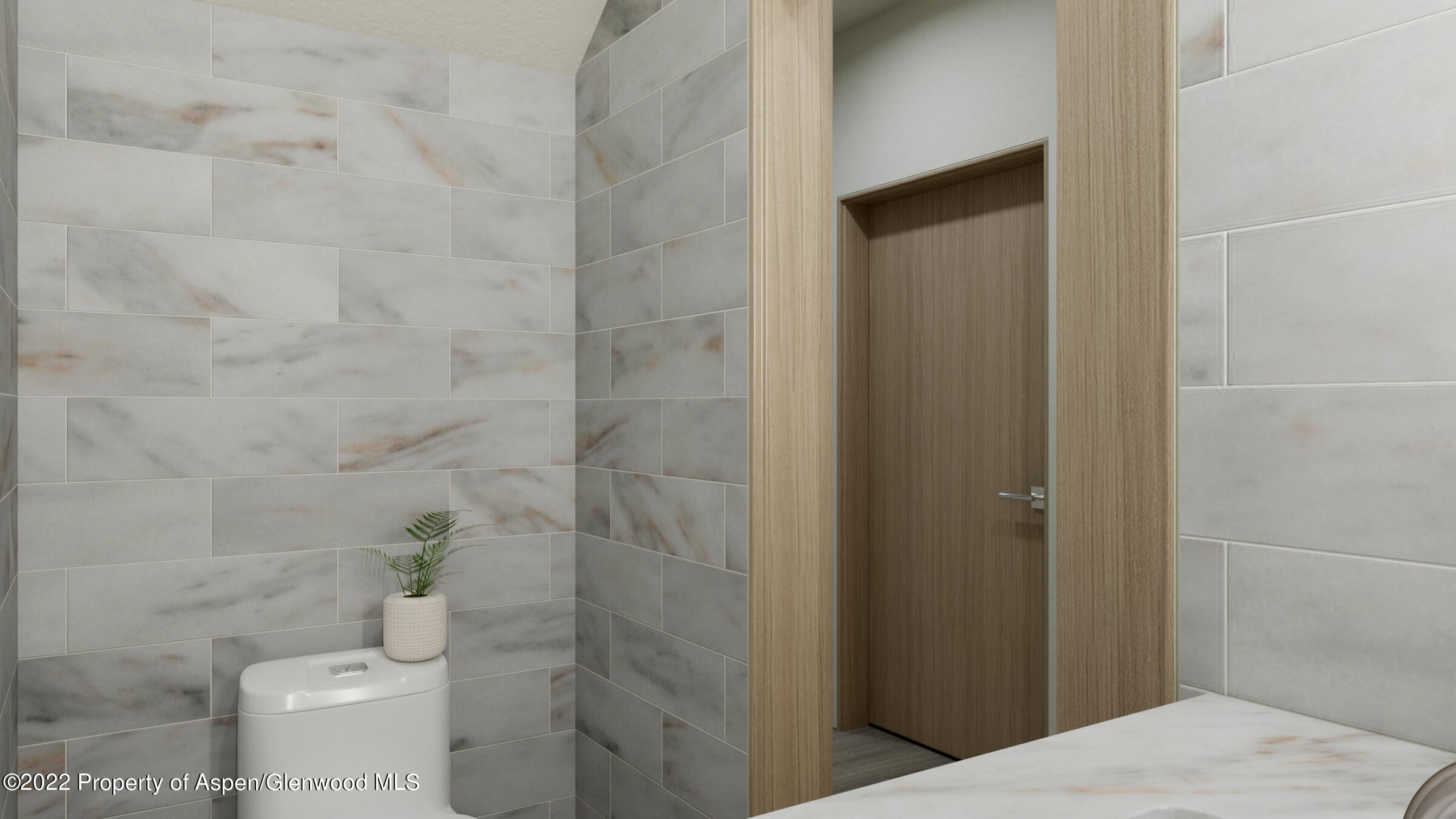 151 Lakeview Drive Basalt, CO 81621 - Photo 29 of 34 Entry Lav