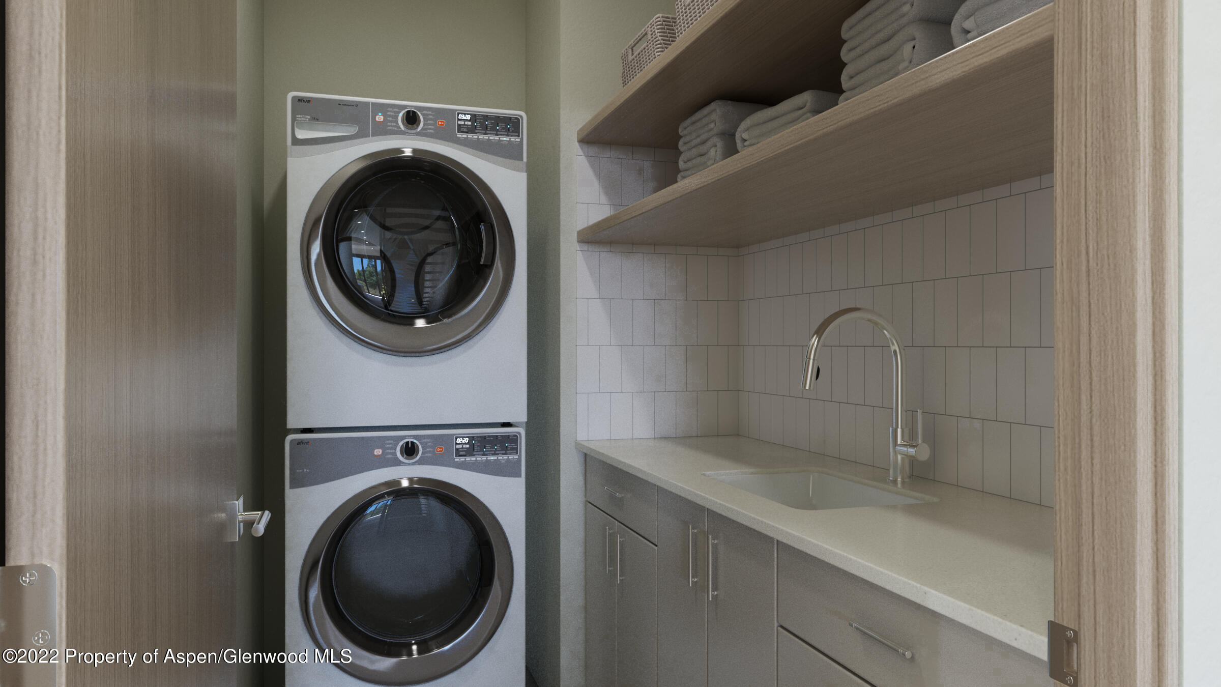 151 Lakeview Drive Basalt, CO 81621 - Photo 33 of 34 Laundry