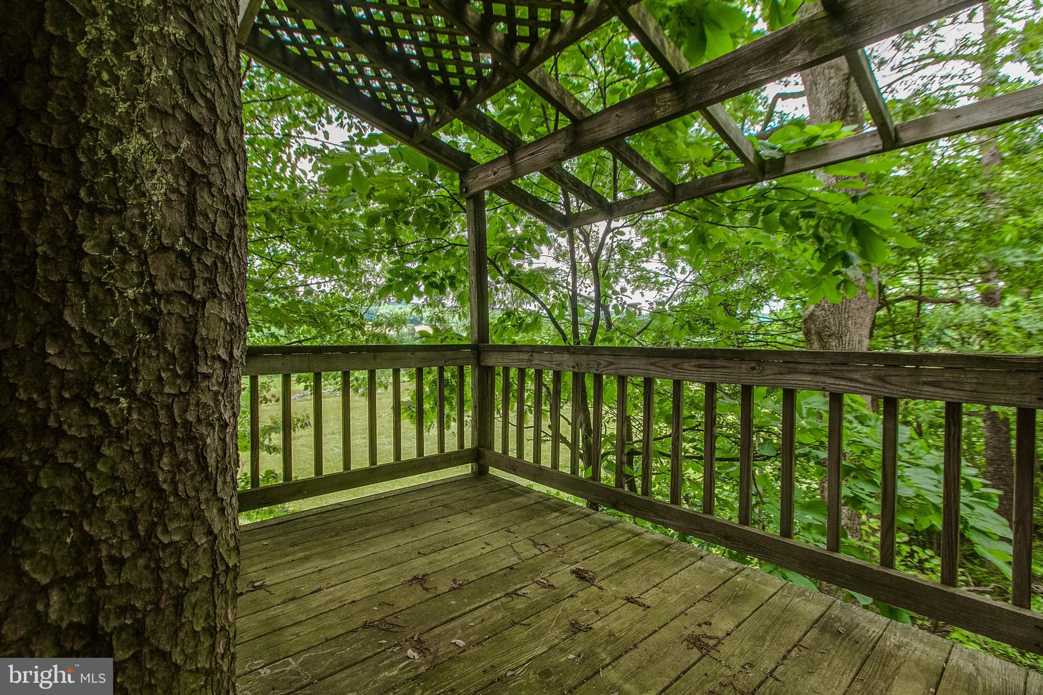 13740 John Kline Road Smithsburg, MD 21783 - Photo 43 of 77 Gallery Image 43