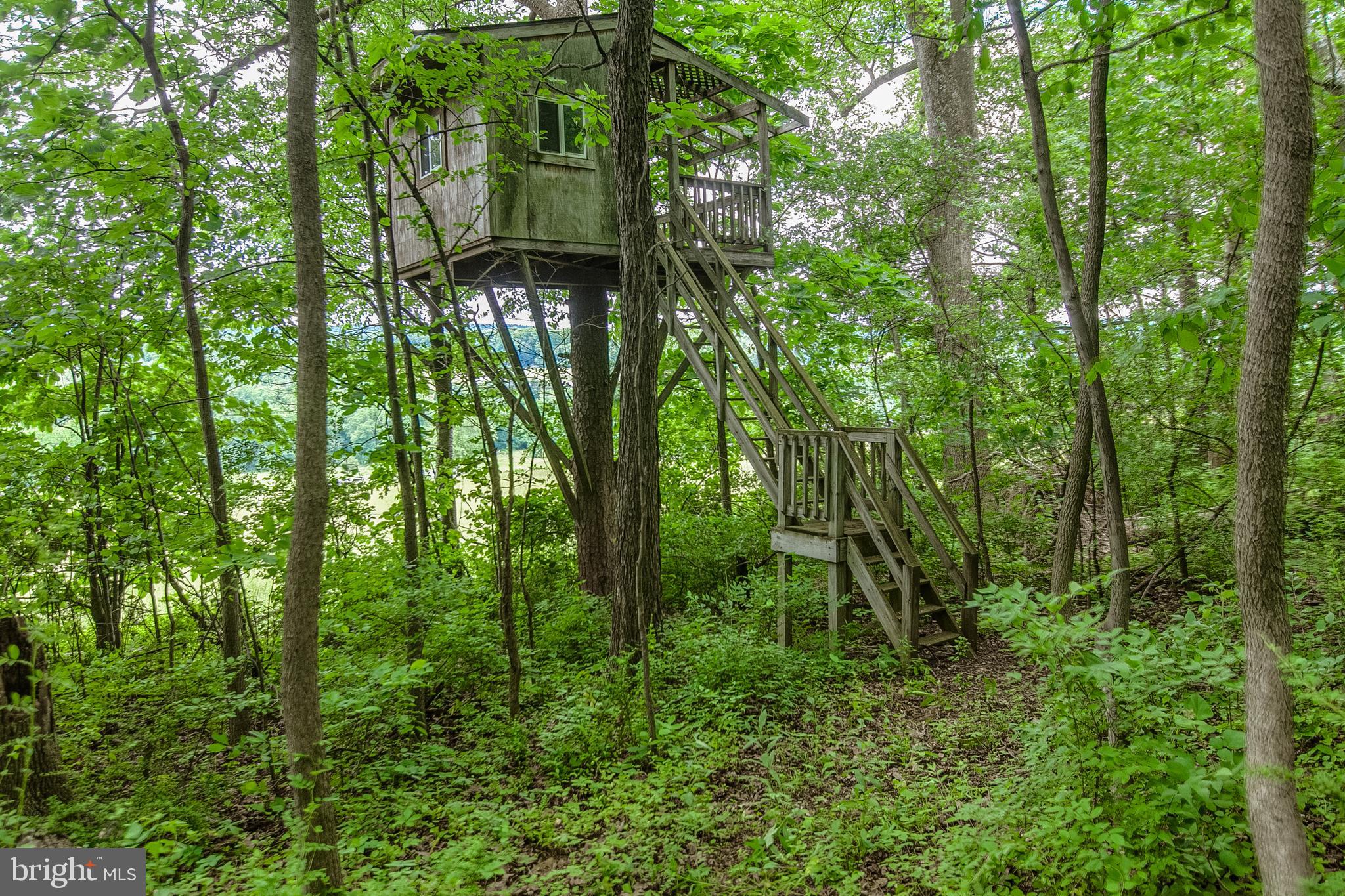 13740 John Kline Road Smithsburg, MD 21783 - Photo 52 of 77 Tree house with spectacular views.