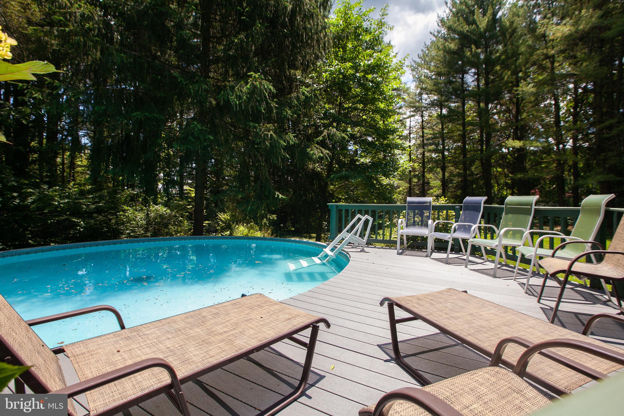 13740 John Kline Road Smithsburg, MD 21783 - Photo 9 of 77 Cool off in your pool with surrounding deck.