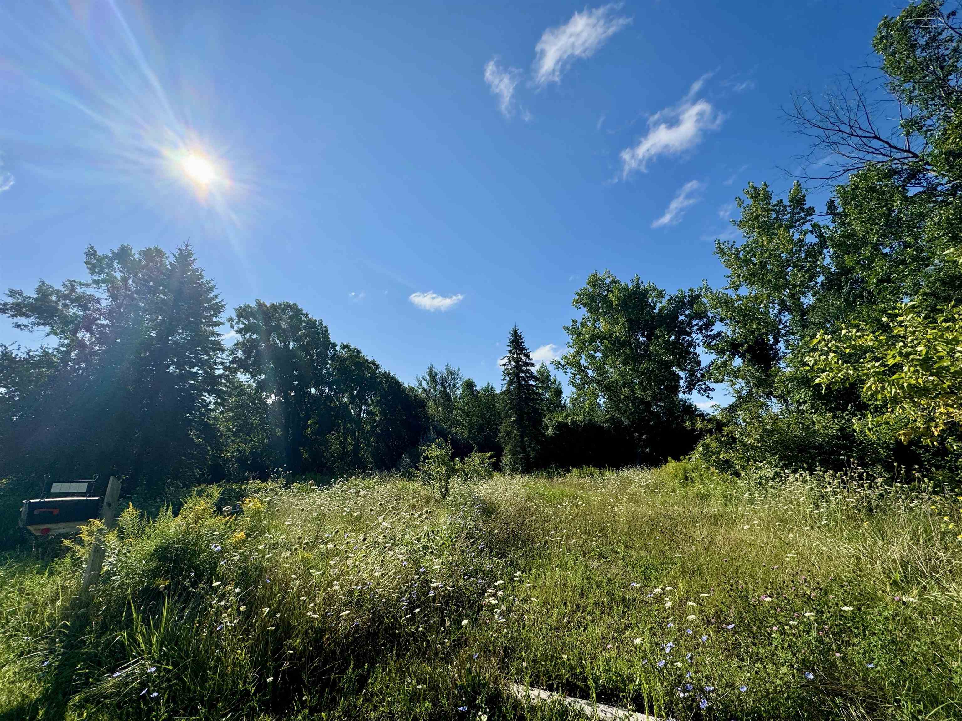 2128 East Sherman Road Linwood, MI 48634 - Photo 4 of 9
