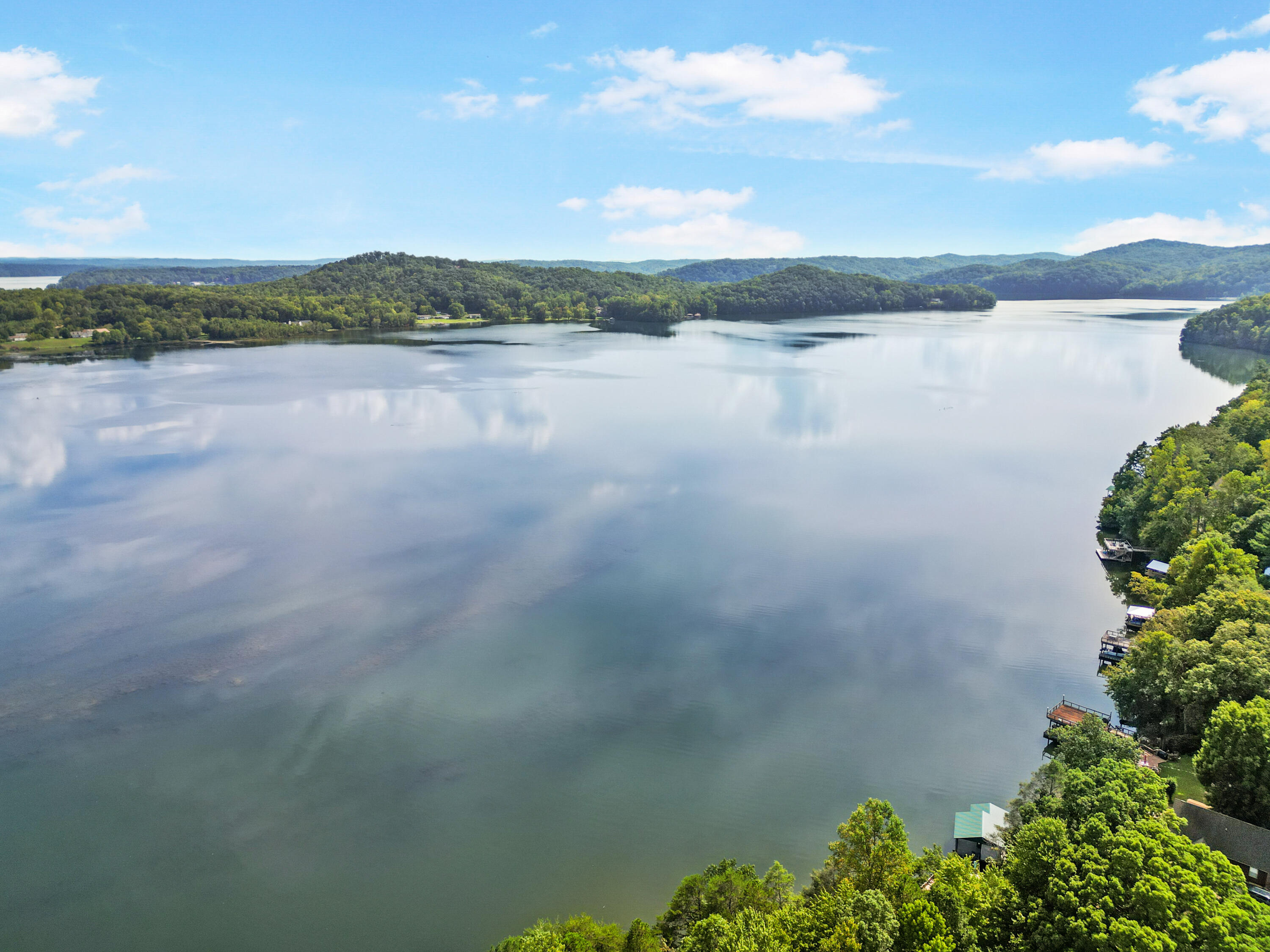 184 Travis Drive Spring City, TN 37381 - Photo 8 of 40 006_dji_0546_84