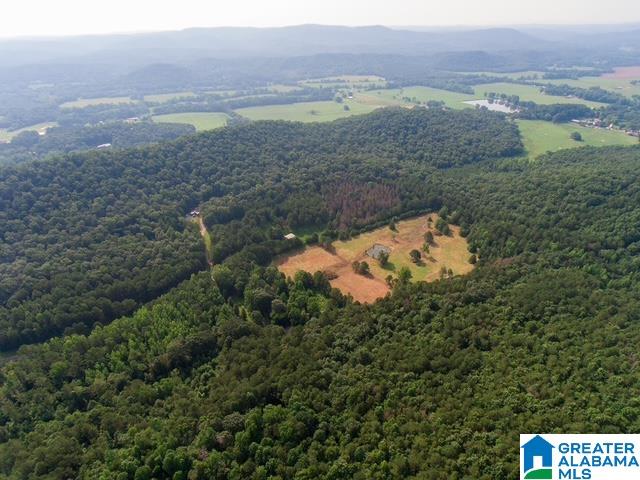 0 Stone Ridge Trail, Unit 50 87 Anniston, AL 36207 - Photo 10 of 15