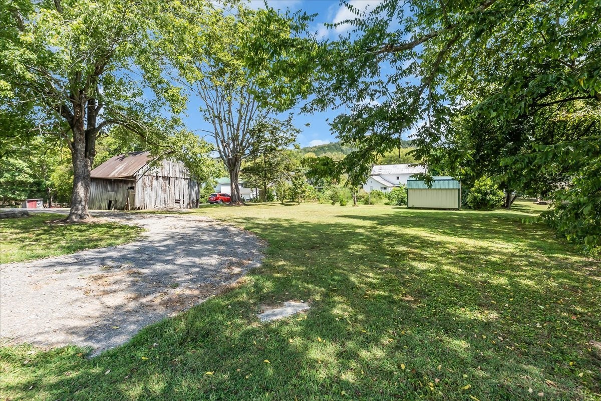104 Locust Street Liberty, TN 37095 - Photo 36 of 57 a view of a tree in front of a house