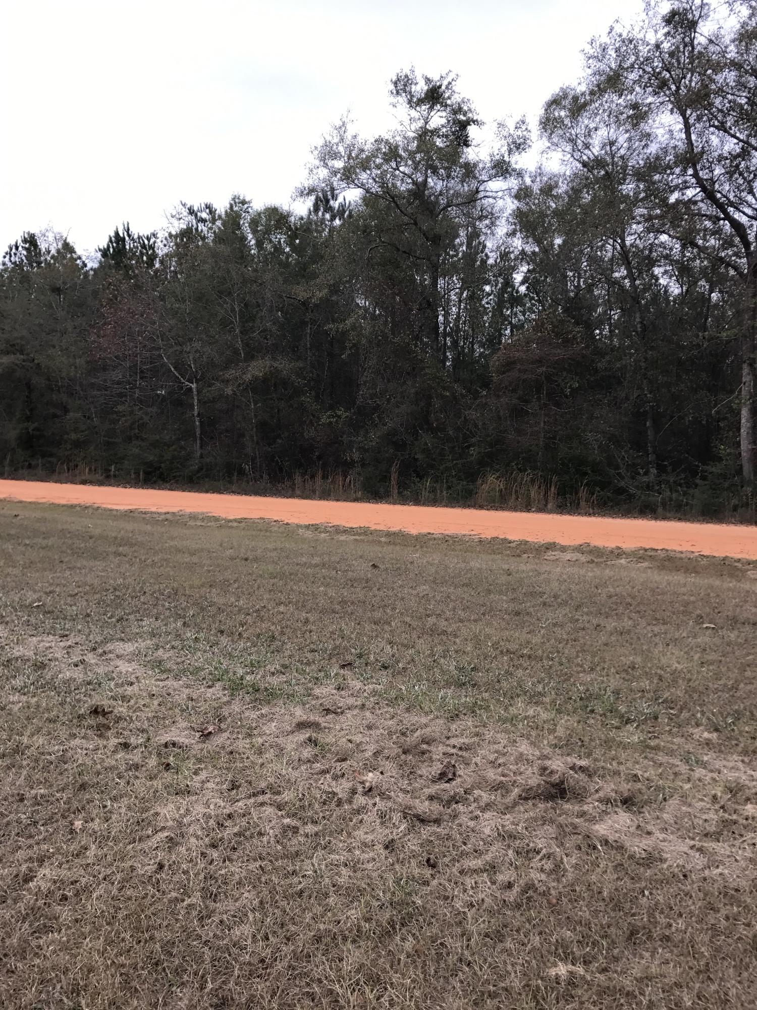 2 James Peaden Road Baker, FL 32531 - Photo 1 of 2 a view of a field with a tree in it