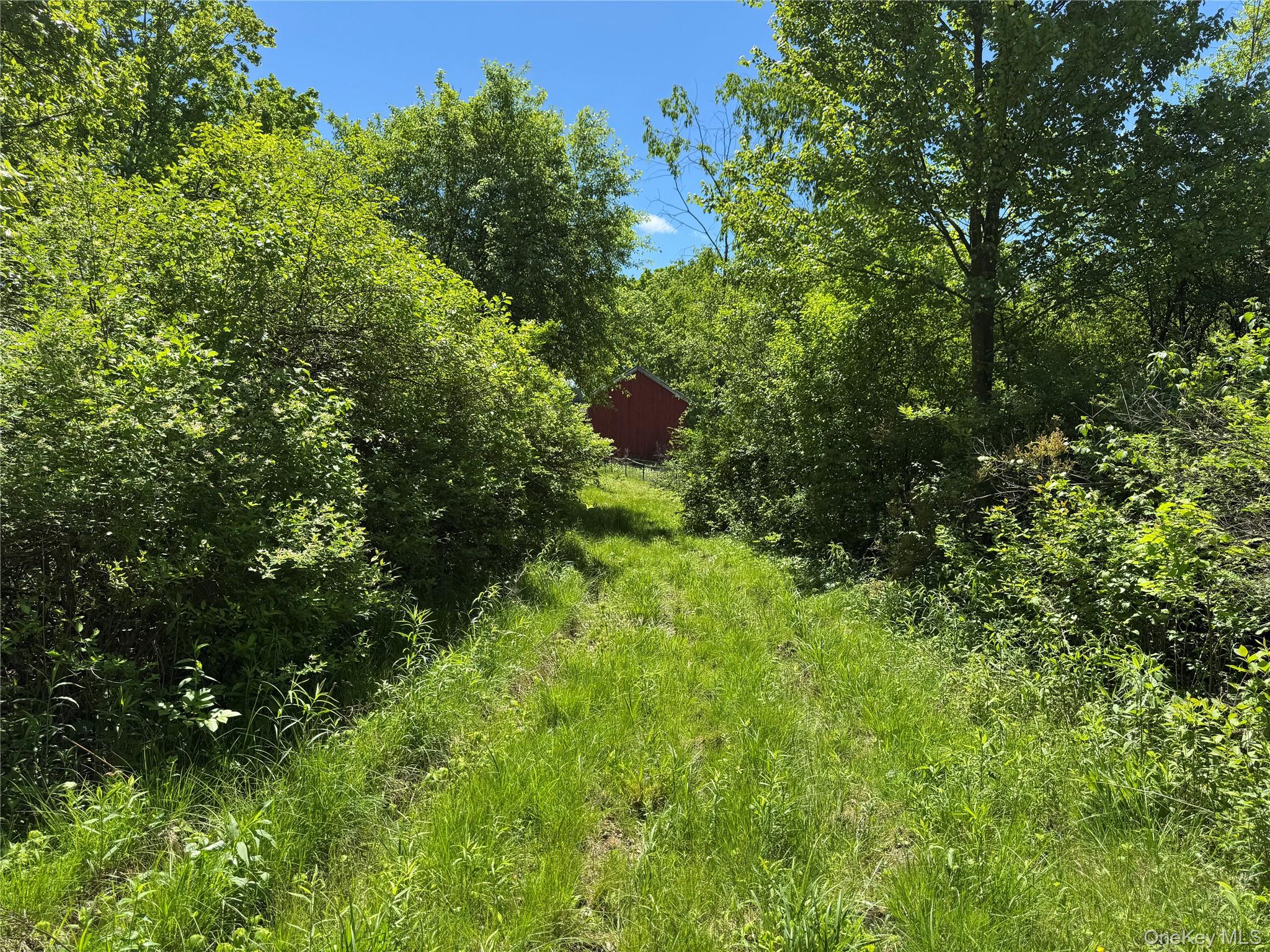 Parcel 1-tbd Woodstock Road Millbrook, NY 12545 - Photo 5 of 9 View of trail