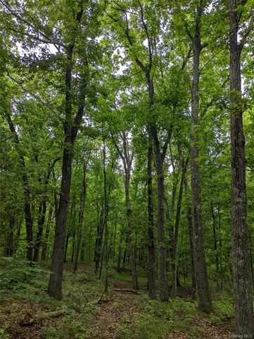 $995,000 | Parcel 1-tbd Woodstock Road, Millbrook, NY 12545