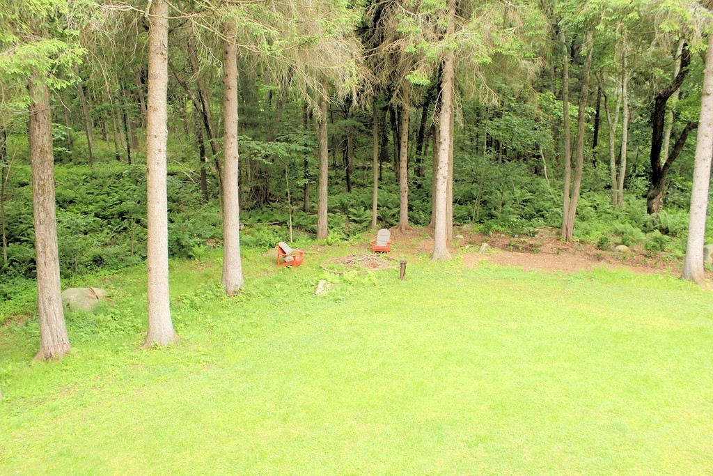 33 Sunset Road Carlisle, MA 01741 - Photo 27 of 27 a view of a garden with a tree