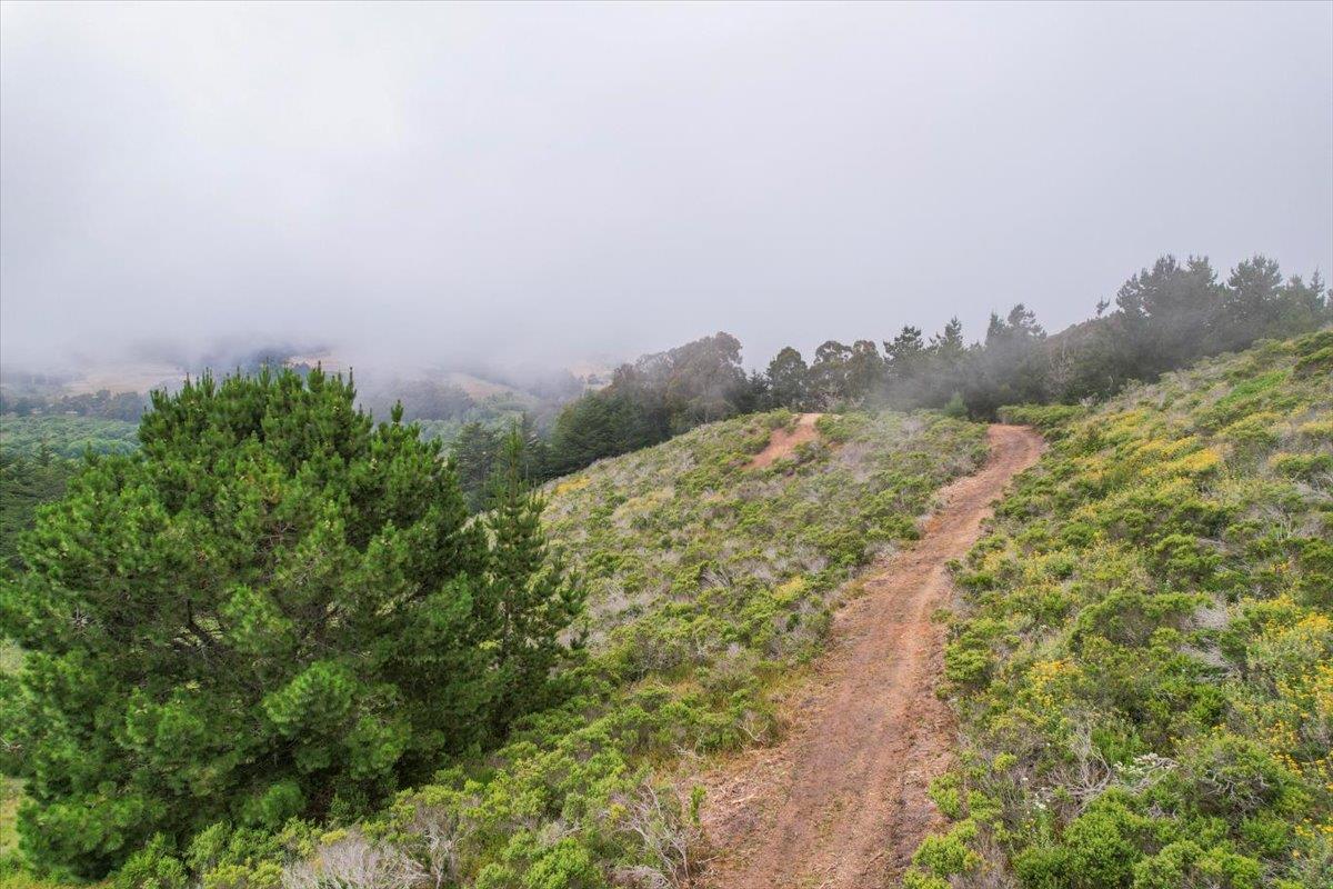 0 Stage Road San Gregorio, CA 94074 - Photo 26 of 48 a view of a field