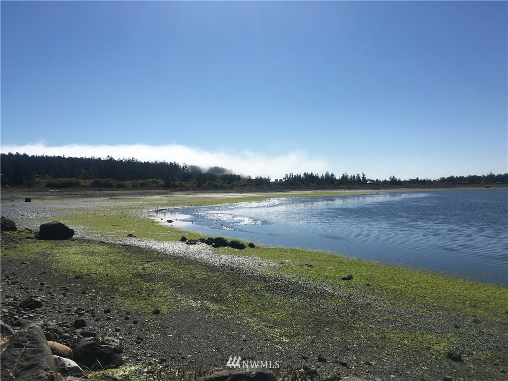 7 Decatur Highland Drive Anacortes, WA 98221 - Photo 11 of 23