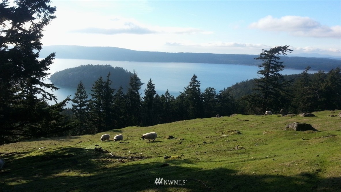 7 Decatur Highland Drive Anacortes, WA 98221 - Photo 15 of 23