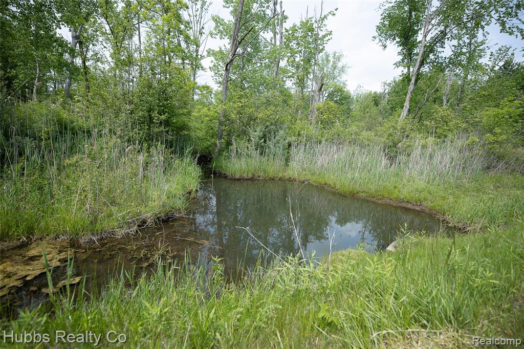 3960 Hanes Road Vassar, MI 48768 - Photo 50 of 75
