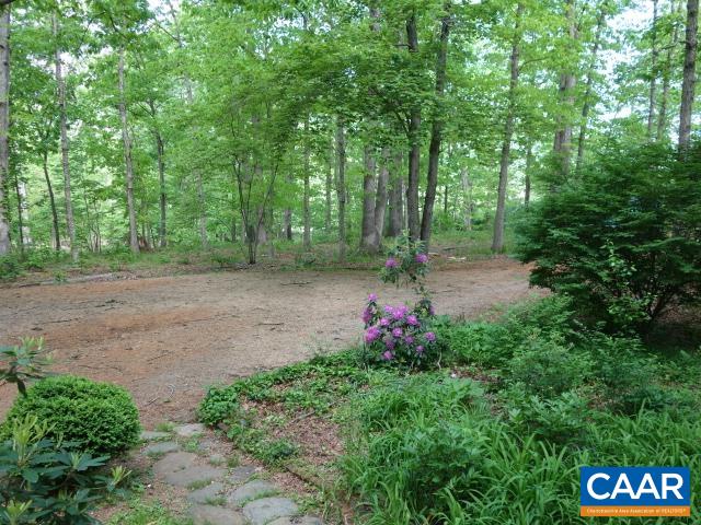 121 Rodes Valley Drive Nellysford, VA 22958 - Photo 17 of 23 a view of a tree in the middle of a yard