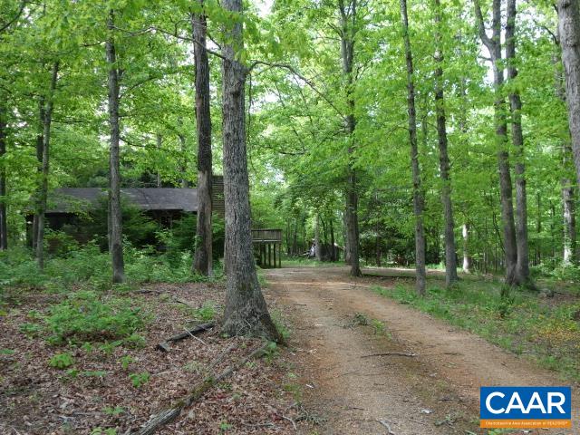121 Rodes Valley Drive Nellysford, VA 22958 - Photo 2 of 23 a view of a park that has large trees