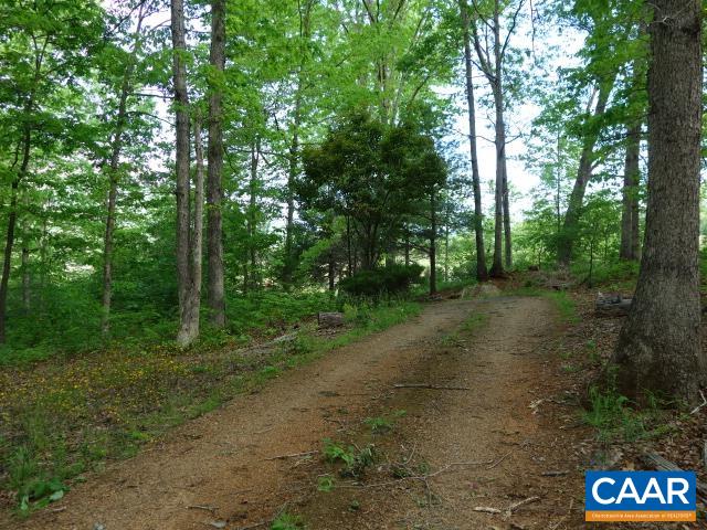 121 Rodes Valley Drive Nellysford, VA 22958 - Photo 21 of 23 a view of a forest with trees