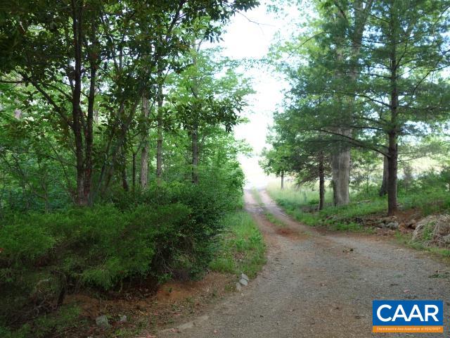 121 Rodes Valley Drive Nellysford, VA 22958 - Photo 22 of 23 a view of a forest