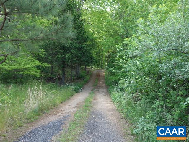 121 Rodes Valley Drive Nellysford, VA 22958 - Photo 3 of 23 a view of a street next to a forest