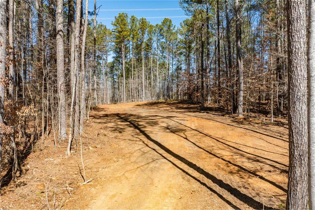 0 Burnt Hickory Road Northwest Acworth, GA 30101 - Photo 2 of 12