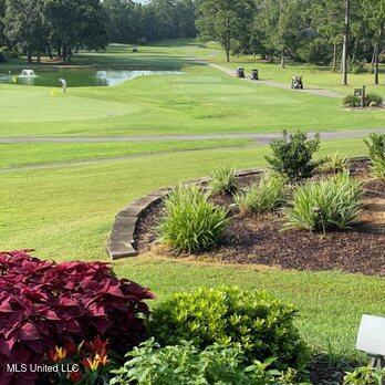 7321 Ieke Circle Diamondhead, MS 39525 - Photo 112 of 114 348s (2)