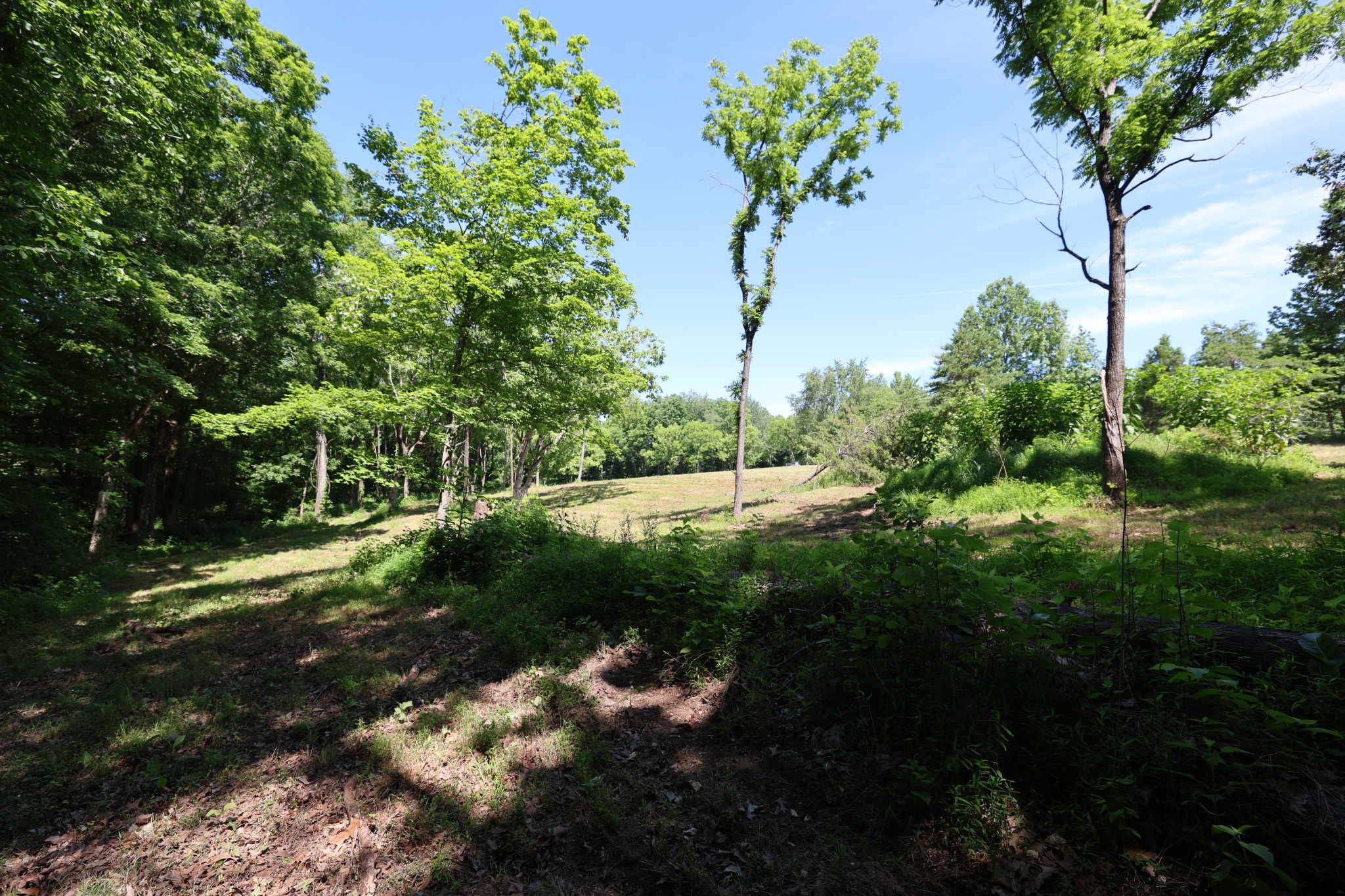 5 Poplar Ridge Lane Chapmansboro, TN 37035 - Photo 26 of 34 a view of a street with a tree