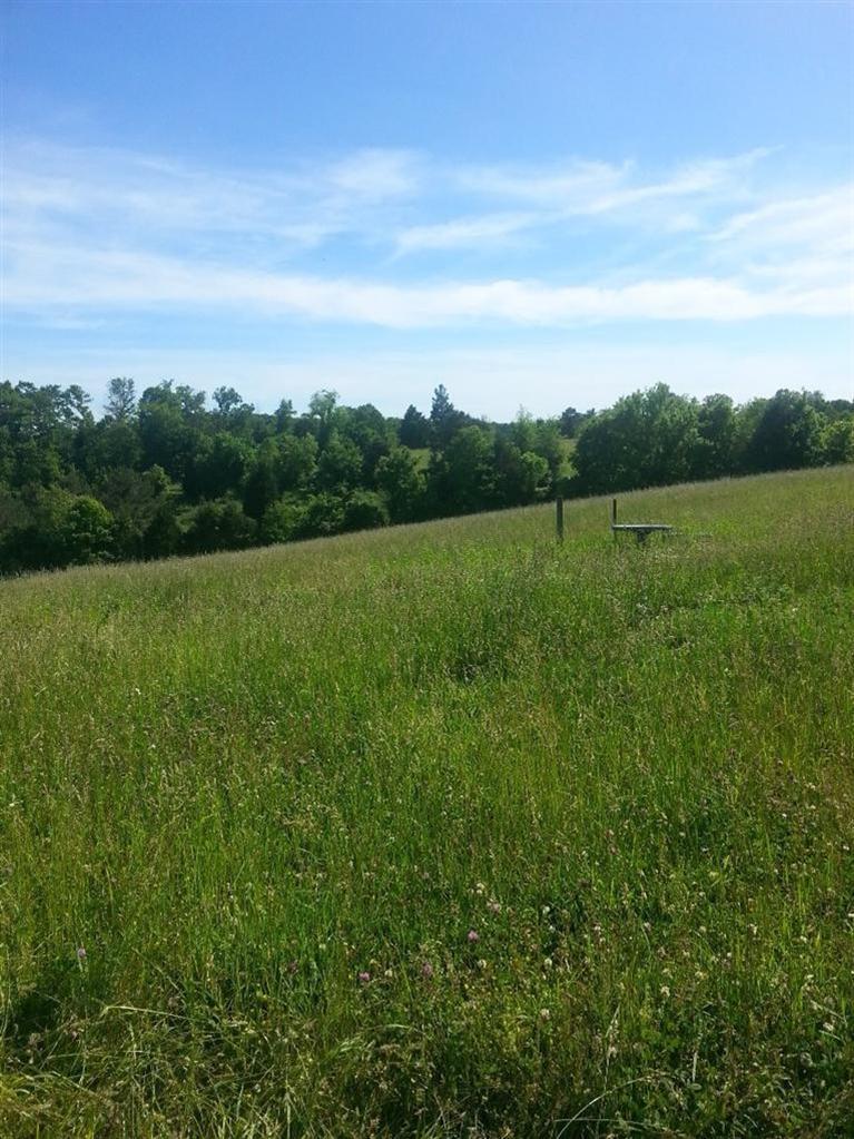 100 Denton Phelps Road Somerset, KY 42501 - Photo 1 of 3 Primary Photo