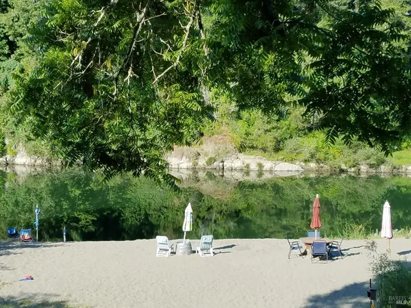 a view of a park with plants and a tree