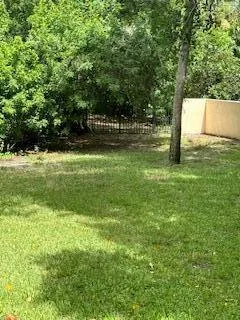 a view of a trees with a yard