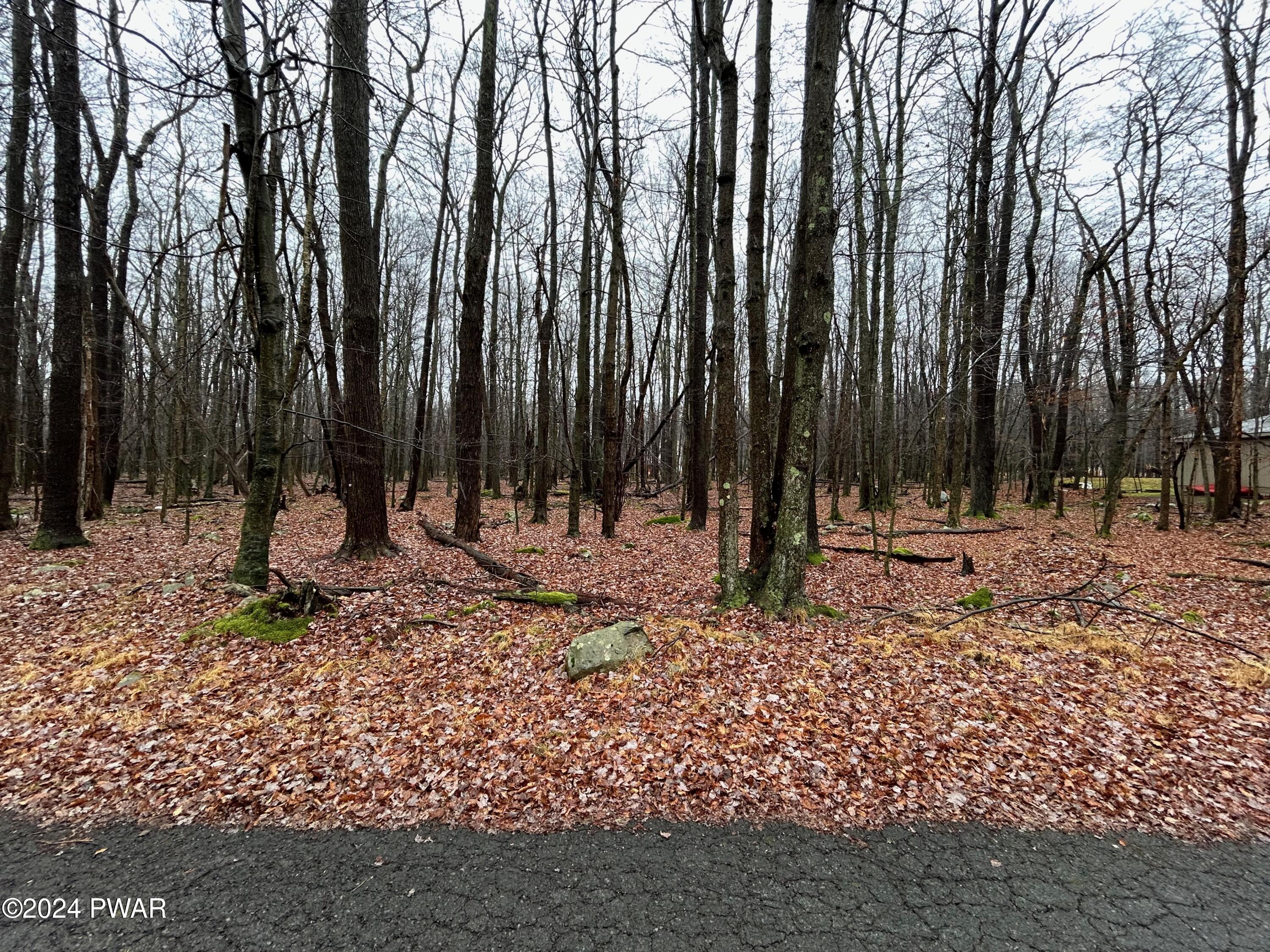 Lot 42 Beaver Run Road Newfoundland, PA 18445 - Photo 7 of 12