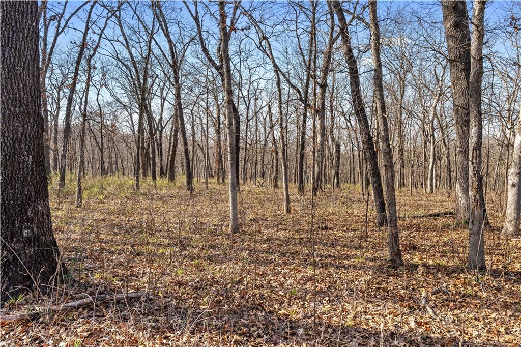 1 East Overland Road Nevada, MO 64772 - Photo 13 of 20