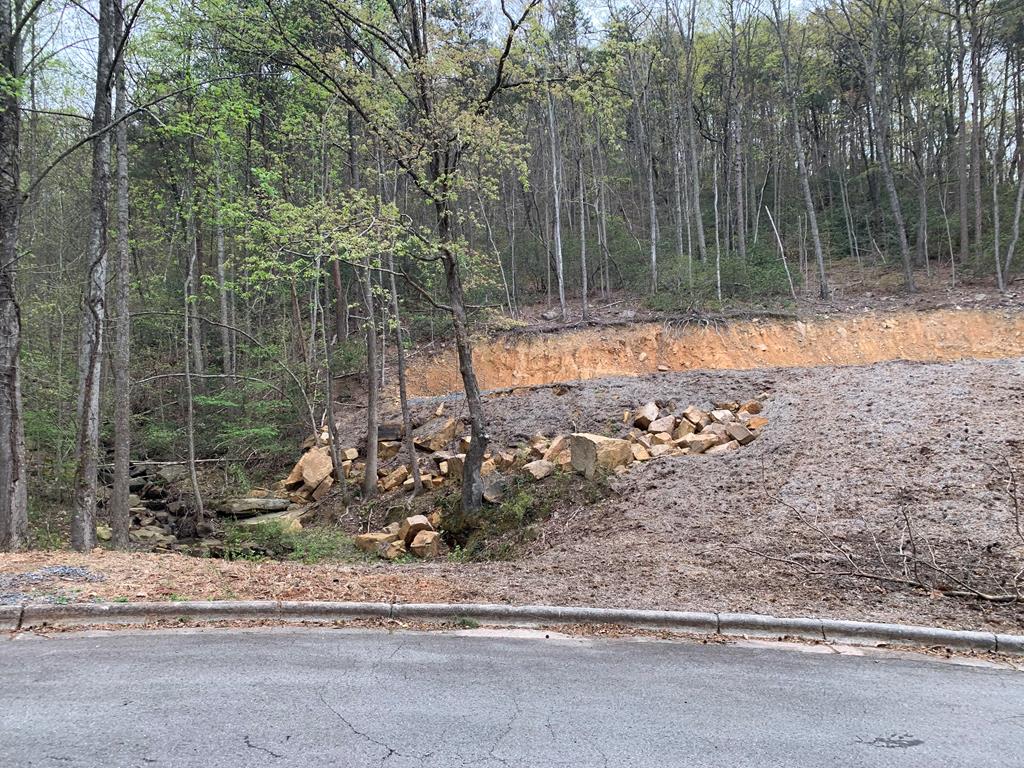 0 North Ravine Way Dalton, GA 30720 - Photo 3 of 12 Gallery Image 3