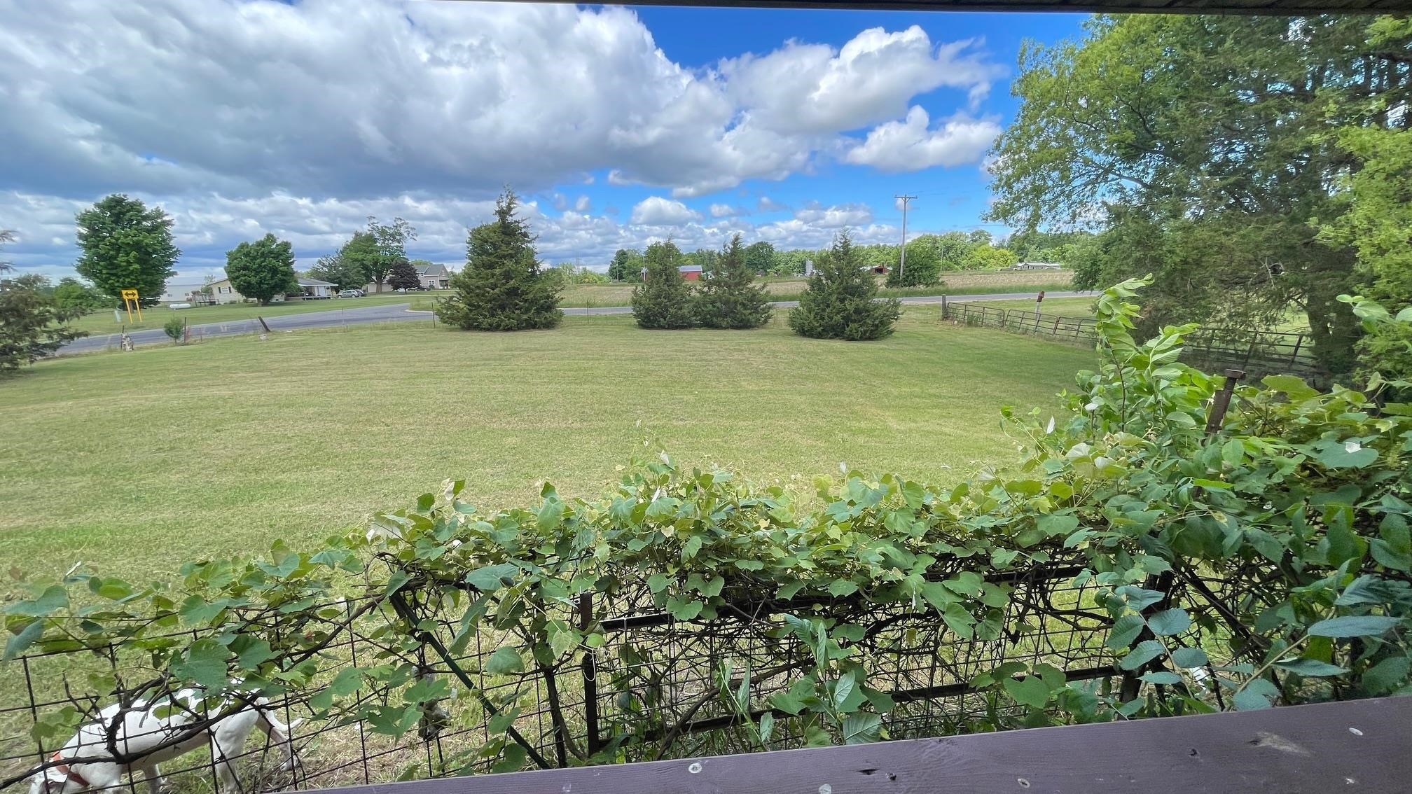 6341 Blackmer Road Carson City, MI 48811 - Photo 9 of 63