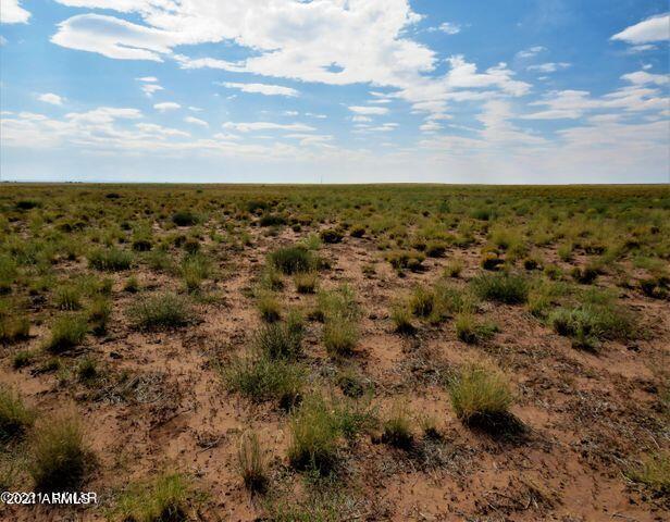 Ranch #96 Ranch, Unit 4 Holbrook, AZ 86025 - Photo 10 of 10 20211020061623586464000000-o