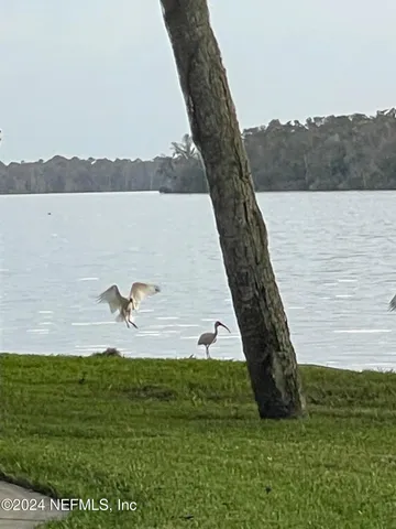 $229,000 | 179 Beecher's Point Drive, Unit C217, Welaka, FL 32193