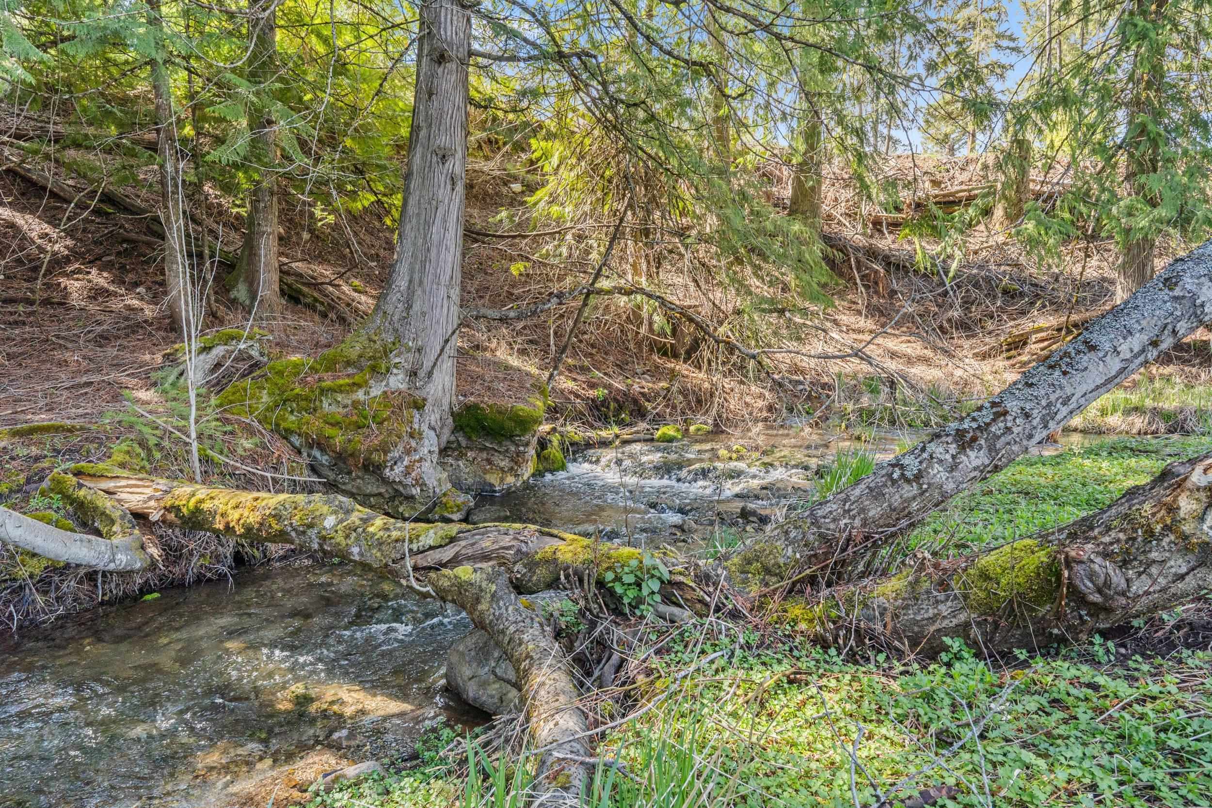 2291 Marble Valley-Basin Road Colville, WA 99114 - Photo 40 of 50
