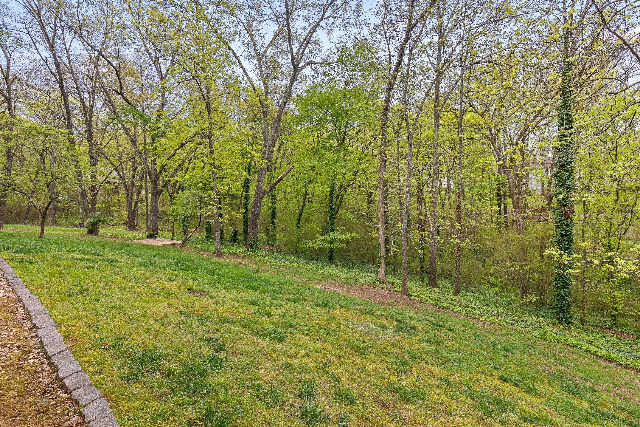 9216 Mountain Shadows Drive Chattanooga, TN 37421 - Photo 34 of 37 MtnShadows-41