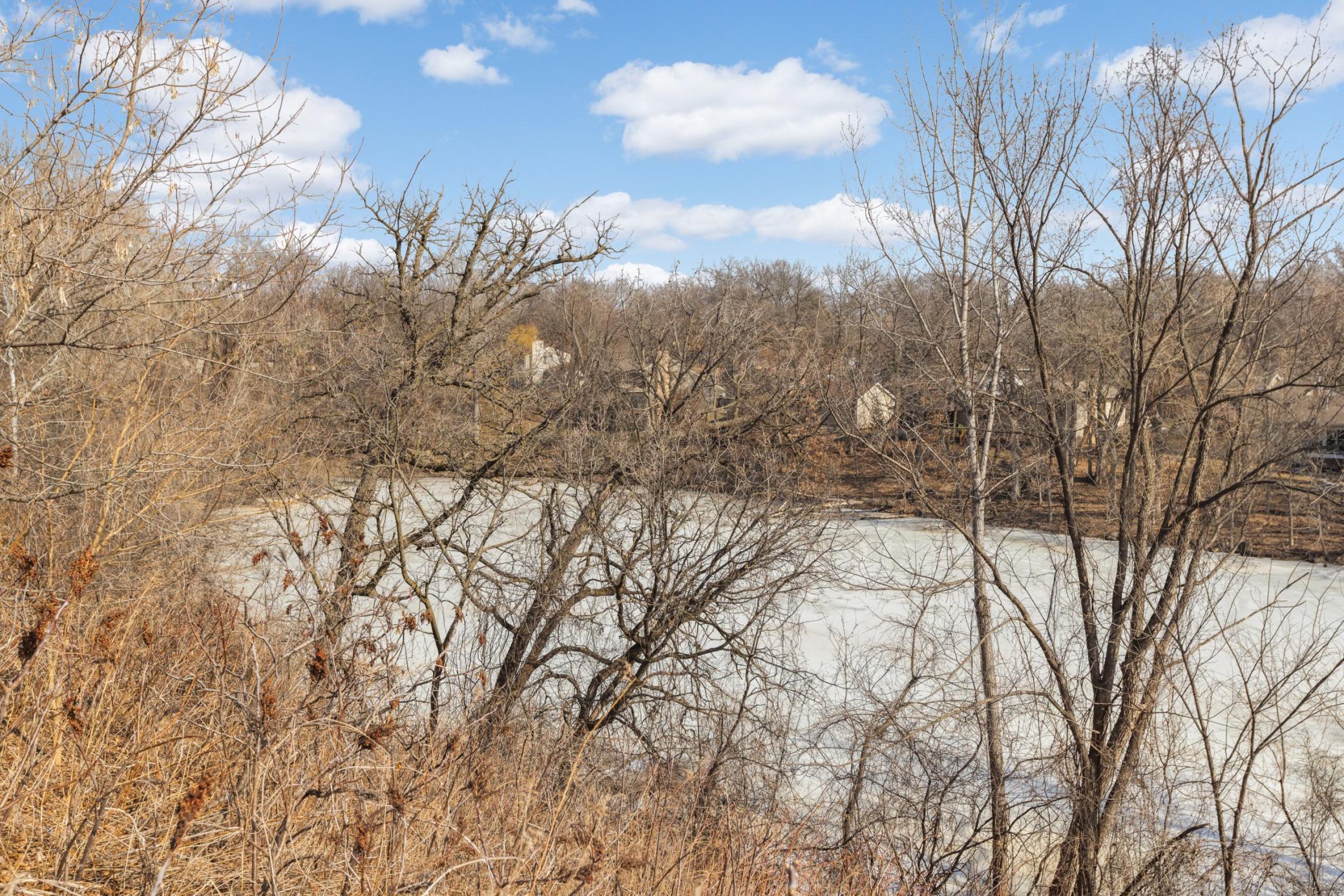 4185 Hilltop Point Eagan, MN 55123 - Photo 30 of 36