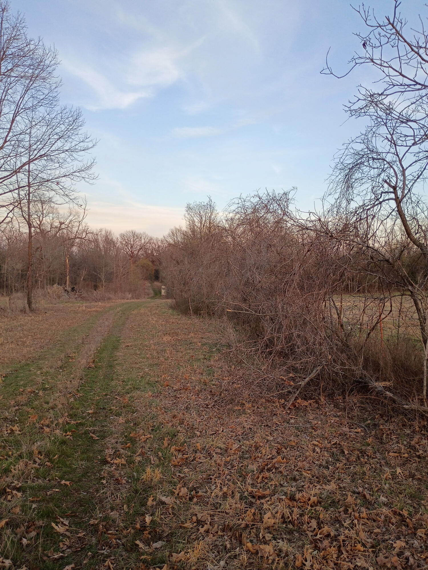 Tbd South 670 Road Jay, OK 74346 - Photo 14 of 14 Gallery Image 14