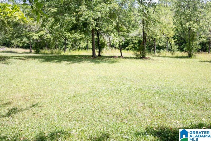 1081 County Road 684 Roanoke, AL 36274 - Photo 22 of 26