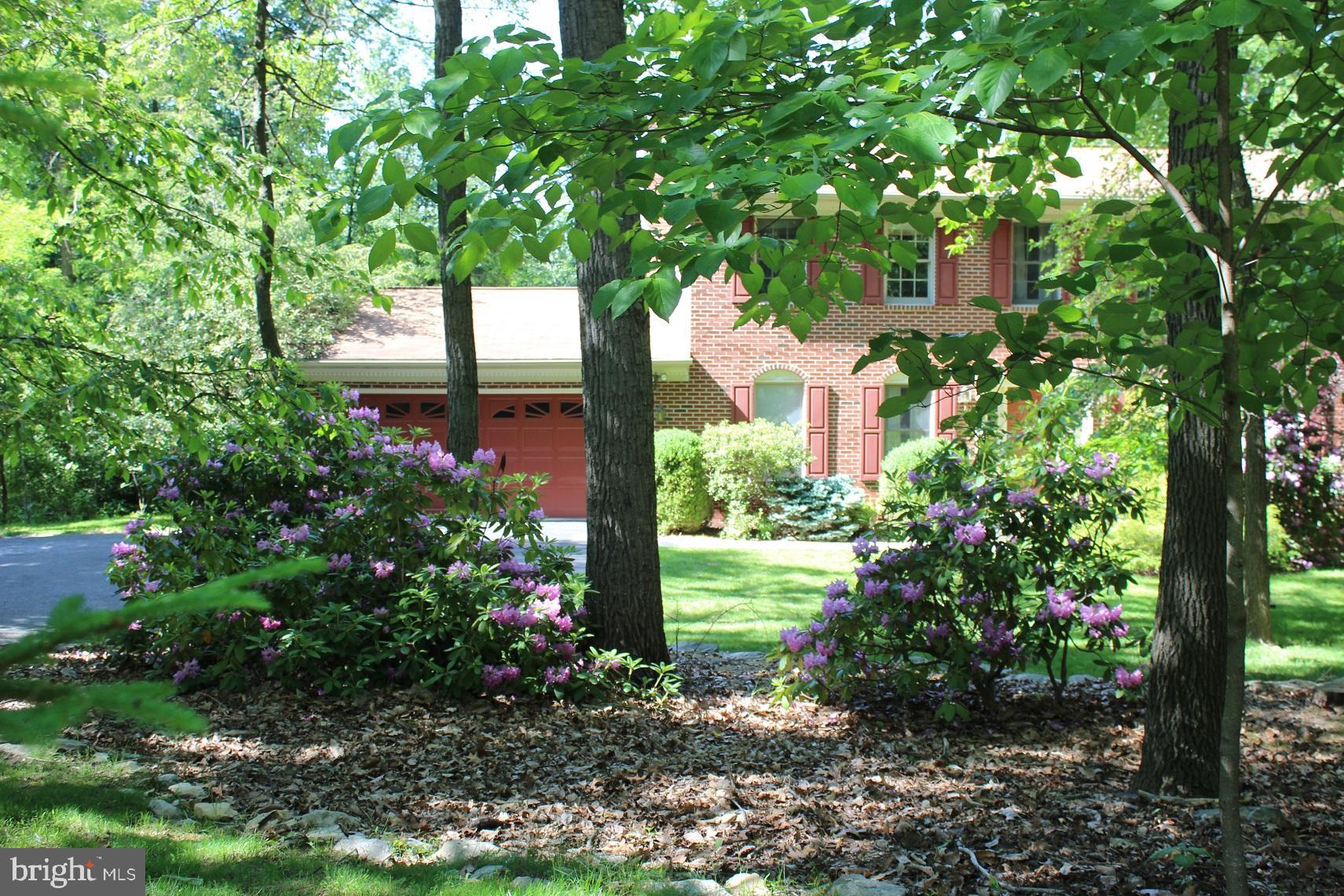 a view of a garden with plants