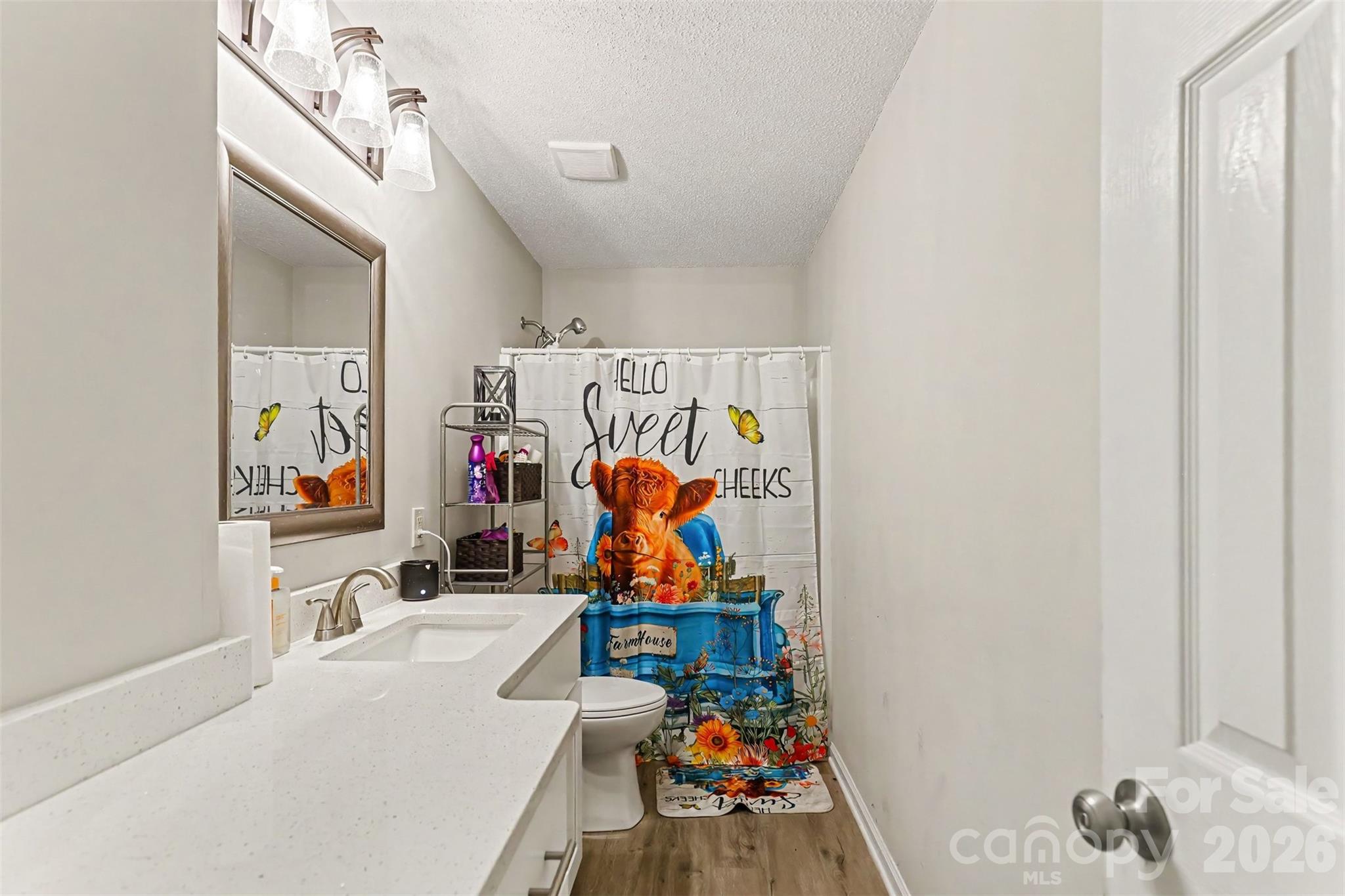 308 Kershaw Street Lancaster, SC 29720 - Photo 21 of 28