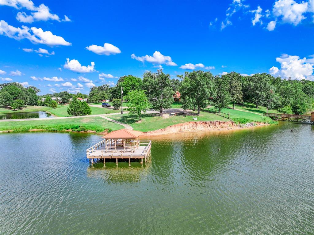 154 Wapiti Quitman, TX 75783 - Photo 21 of 24 a view of a lake with a yard and large trees