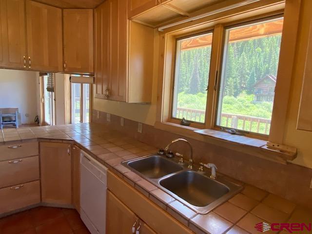 300 Quartz Lane Pitkin, CO 81241 - Photo 8 of 22 a kitchen with a sink a counter top space and cabinets