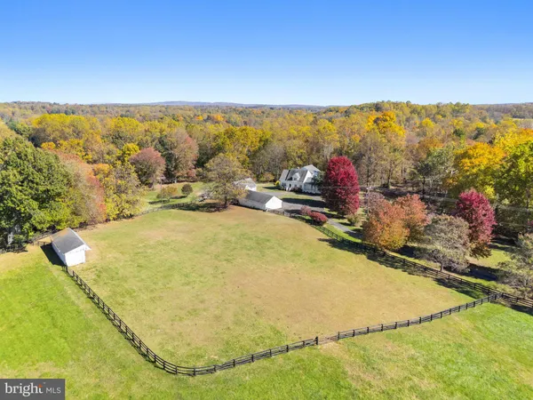 a view of backyard with tree