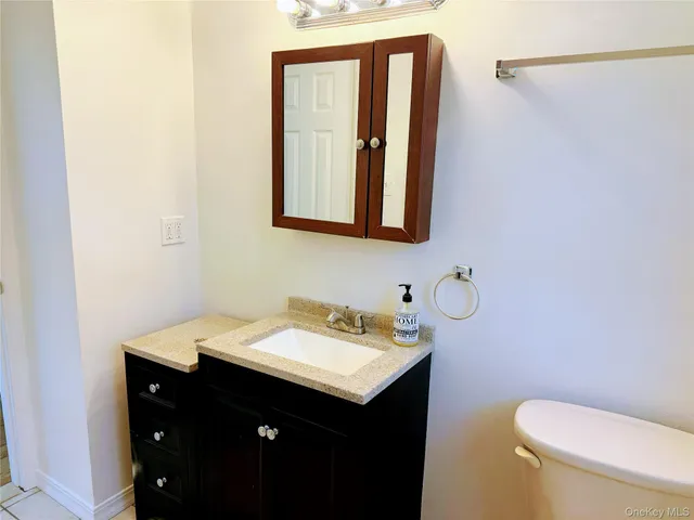 a bathroom with a sink vanity and toilet