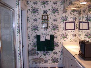 424 Peletier Loop Road Swansboro, NC 28584 - Photo 8 of 12 Listing Photo