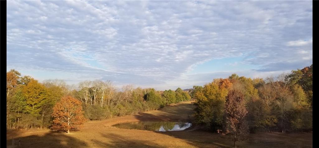 268 Jones Slough Road Kingston, GA 30145 - Photo 2 of 5