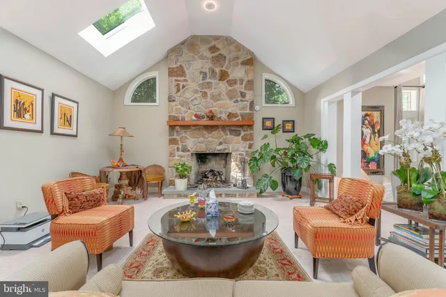 a living room with furniture a fireplace and a potted plant