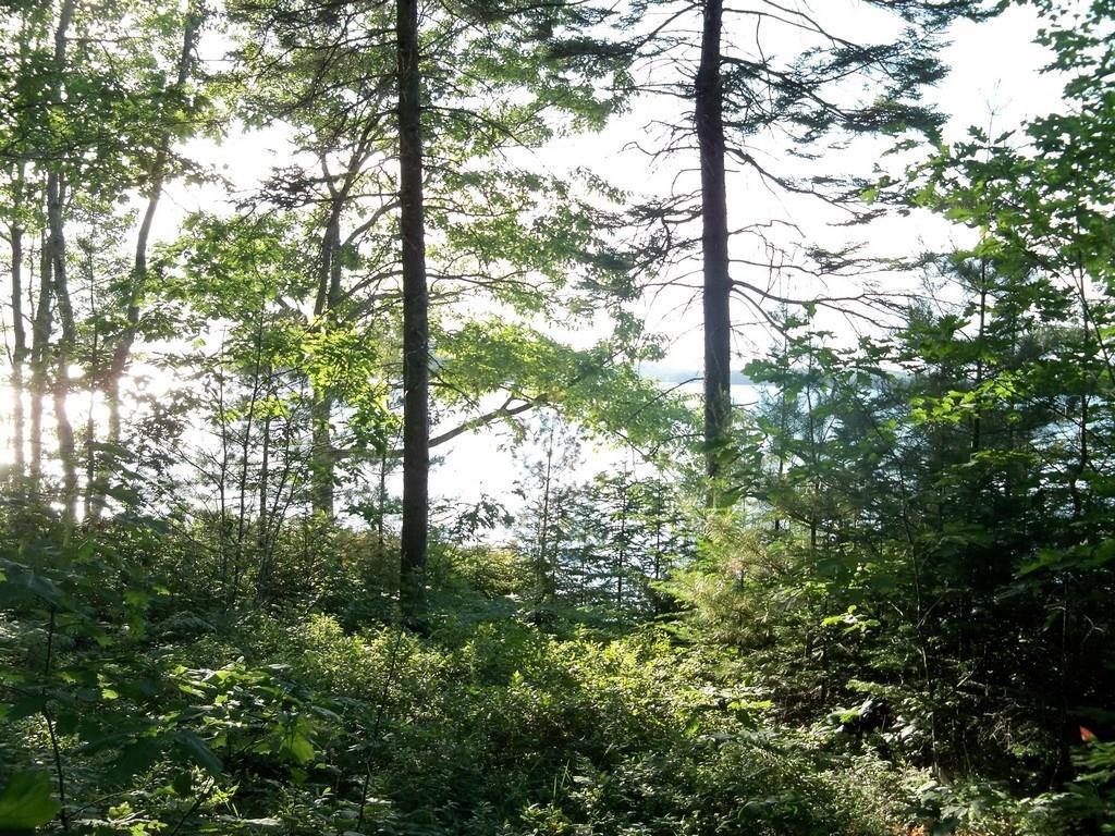 54 Evergreen Point Road Sullivan, ME 04664 - Photo 9 of 28 Photo