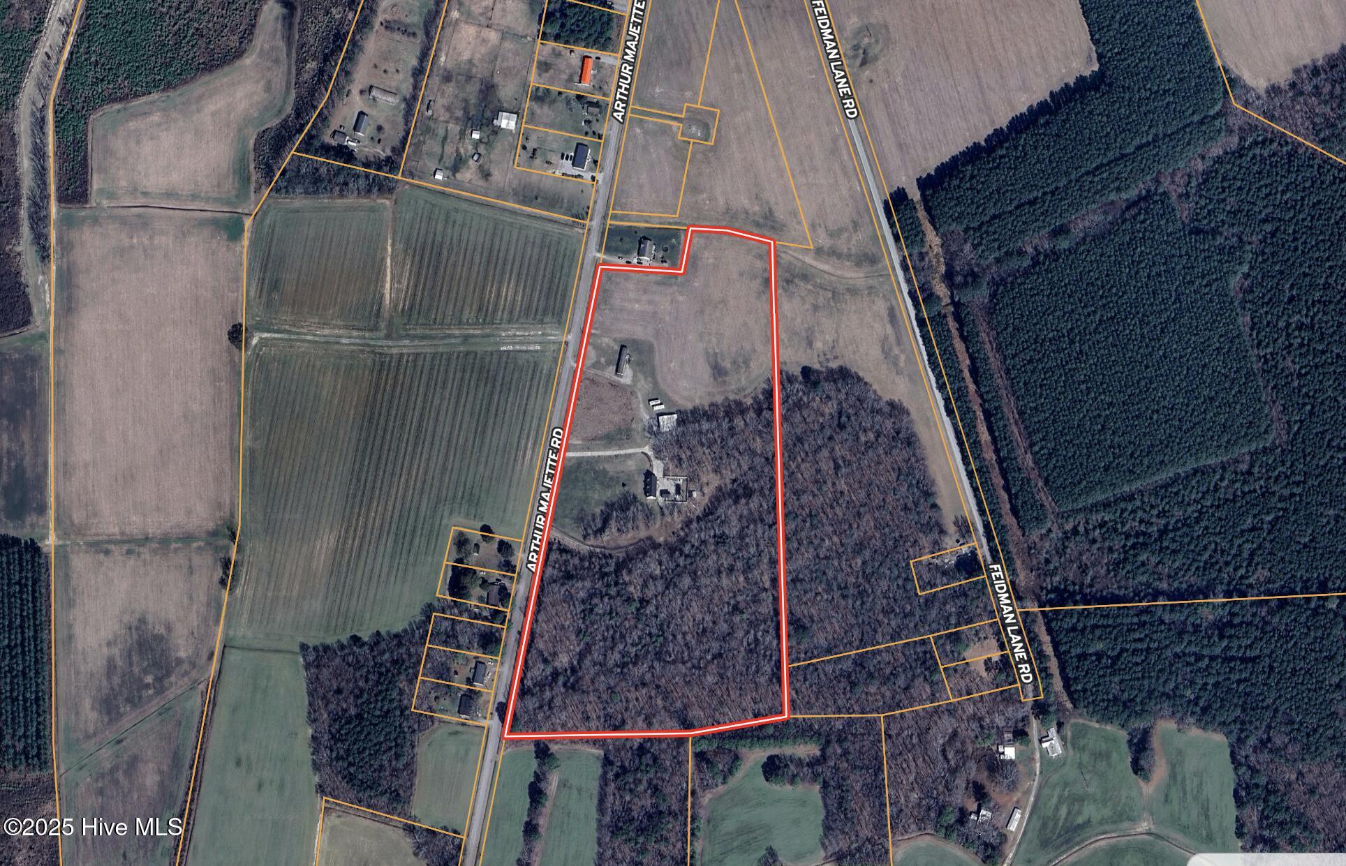 141 Arthur Majette Road Aulander, NC 27805 - Photo 3 of 115 Aerial